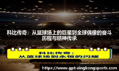 星空体育网站入口